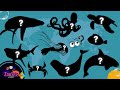 Apprenez des noms et regardez des vidéos d'animaux marins - Ocean Animal Puzzle!