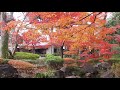 東京紅葉散歩　大田黒公園　2020 12 11 16