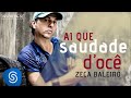 zeca baleiro ai que saudade d ocê Áudio oficial trilha da novela império