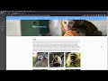 jQuery Selectors