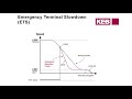 KEB F5 Elevator Drive Training: Inputs/Functions & Outputs (Part 14)