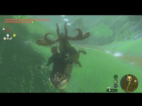 Zelda: Tears of the Kingdom где же моя лошадь?
