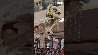 2023 High Pole Lion Dance Competition #高樁舞獅爭霸賽 @ Da Men Mall #麻坡關聖宮龍獅團