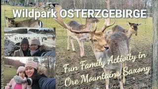 Wildpark Osterzgebirge | Family Fun Activities in Ore Mountains Saxony Germany