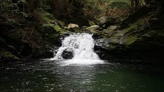 静岡県　浜松市　天竜区　龍山町　大嶺　白倉川　白倉峡1　竹十淵