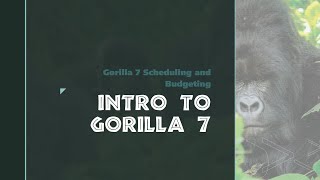 Intro to Gorilla 7 Scheduling and Budgeting