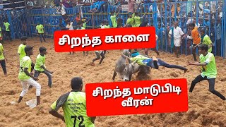 2021 சிறந்த மாடுபிடி வீரன் \u0026 சிறந்த காளை ... Tamizhan Trending