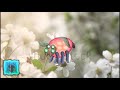 My Singing Monsters: Graphic Island: Single Elements