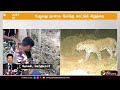 🔴live 6ஆவது நாளாக போக்கு காட்டும் சிறுத்தை forest department leopard mayiladuthurai ptt