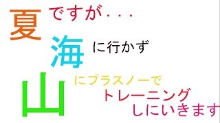 【サマースキー】プラスノーを滑りに行ってみた