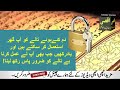 8 9 10 rajab ke din allah ke name ka wazifa for hajat rajab month budh jumerat juma ka wazifa