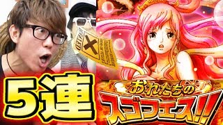 トレクル！おれたちのスゴフェス！第2弾！5連してしらほしエネルゾロは来るのか！？タカシ編！ワンピース