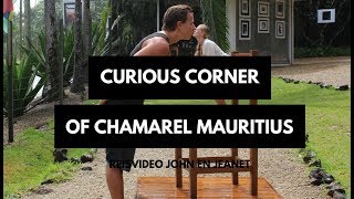 Curious Corner of Chamarel Mauritius in 3 MIN