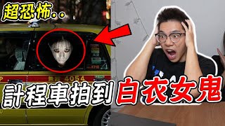 【都市傳說】三個台灣計程車真實發生的恐怖靈異事件 途中意外載到白衣女鬼？！【希露弟弟啃雞腿】比熊 貴賓 Bichon Frise Poodle