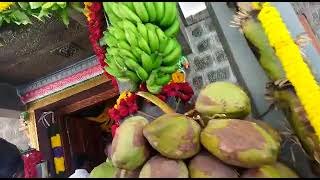 Annamar Kovil| kakkaveri|temple festival| Shivarathri Pooja| temple decor| flower decor| kudamuluku