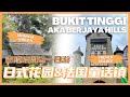 Bukit Tinggi 1D Trip | Colmar Tropicale French Village | Japanese Village | Berjaya Hills Vlog 2022