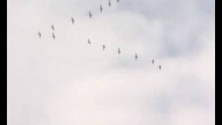 борис саксонов рыбалка круглый год борис саксонов рыбалка круглый год