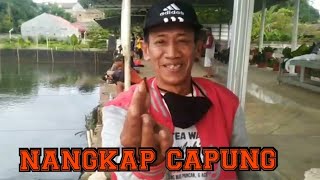 Mudahnya Menangkap Capung Dengan Jari Jari Tangan