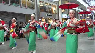 俵屋グループ  2024第26回高知よさこい祭り全国大会　帯屋町筋会場　帯パラ手前　【4K】　2024 8 12