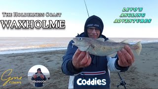 Sea Fishing UK 2024 | Fishing at Waxholme on the Holderness Coast Cod Fishing