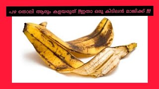 Banana peel fertilizer in malayalam|പഴത്തൊലി ഇനി ഒരു  അസാധാരണ സാധനം അല്ല ഇതാ ഒരു കിടിലൻ മാജിക്ക് !!!