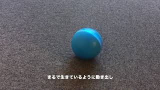 wicked ball