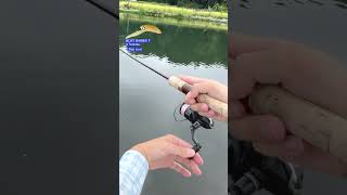 【AREA TROUT Fishing】MOST BARBIE F ♯Tonkotu （Rob lure）2023 9 2   HD 1080p