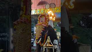 പകൽ പൂരം, വലിയ വിളക്ക്🙏 #elephants #blessed #kerala #kottayam #pooram #temples