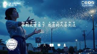 王一佳 - 归途的晚风 (抖音热播版)『绿皮火车一站一站 带走了旅人，结束一年异乡的漂泊 踏上归程，不知不觉 望向窗外 已大雪纷纷』【高音質 动态歌词MV/PinyinLyrics】