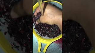 How to Make sPeCial  SoBolo Juice/Hibiscus tea