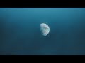 Smooth Humming Background Nasheed with 💧Relaxing Raining Sounds💧