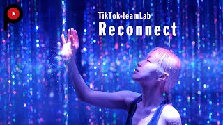 【 アート体験するサウナ 】チームラボリコネクト  Become one with the art in a sauna | TikTok teamLab Reconnect