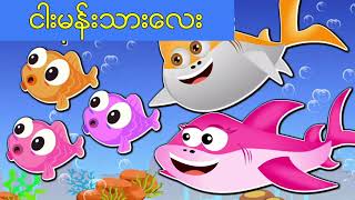 ငါးမန်းသားလေး -  Baby Shark Myanmar Song | Myanmar Kids Songs