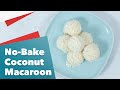 Keto No-Bake Coconut Macaroon Recipe