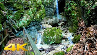 4K UHD Virtual Hiking Tour - Waterfalls - Early Spring Forest - Calming Water sound - Birds tweeting