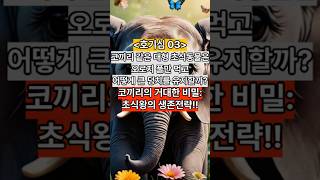 [호기심 03] 코끼리 같은 대형 초식동물은 어떻게 풀만 먹고 저렇게 큰 덩치를 유지할까? 코끼리 덩치의 비밀!! #지식 #신기한 #호기심