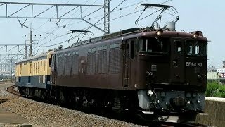 【駅員キレ気味】EF64 37+クモユニ143-3方転配給 三郷駅通過