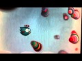 Tiny wings 2 first trailer!