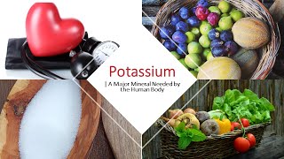 Potassium | A Must-Have Major Mineral by Our Bodies