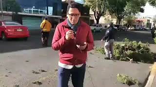 a caray, soy yo 🤣 cae arbol y destruye auto de reportero