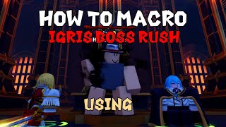 How To AFK FARM IGRIS BOSS RUSH (USING Cha-in \u0026 Julias) in Anime Vanguards