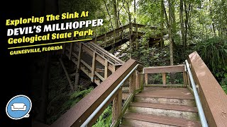 Descending into the Sinkhole! Discovering the Natural Wonders of Devil’s Millhopper in Gainesville!