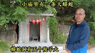 河北神秘小庙，竟有大蟒蛇出没！蟒蛇洞有5个院子大，能住100人？