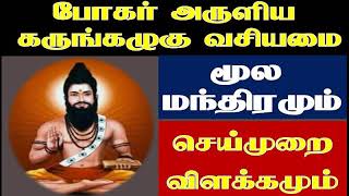 போகர் அருளிய கருங்கழுகு வசியமை மூல மந்திரமும் செய்முறை விளக்கமும் || how to worship bogar in tamil |