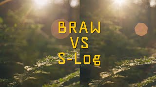 Blackmagic BMCC6K Braw VS Sony ZVE1 / FX3 Slog