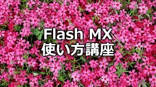 Flash使い方(フラッシュMX2004講座)第1章 Flash MX 2004の概要【動学.tv】