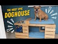 Escape the ordinary: Building the Ultimate Dog House