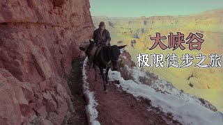 4K（第219集）沉浸式大峡谷凯巴布——极限徒步从冬天走到夏天.Grand Canyon Kaibab trail  Hiking—Walking from Winter to Summer.