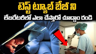 టెస్ట్ ట్యూబ్ బేబీ కోసం || IVF Procedure Step by Step in Telugu | Healthy Habits