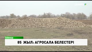 85 жыл: Агросала белестері